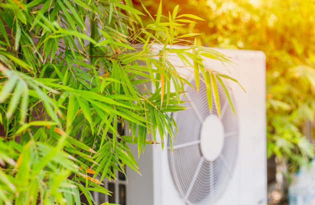 La climatisation est elle néfaste pour nos plantes?