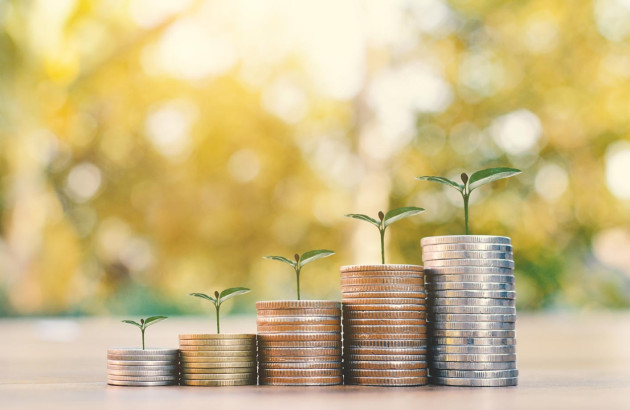 Plantes qui poussent sur des pièces de monnaie