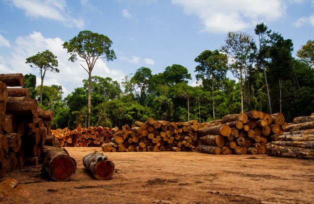 Chauffage au bois : pollution, prix, déforestation