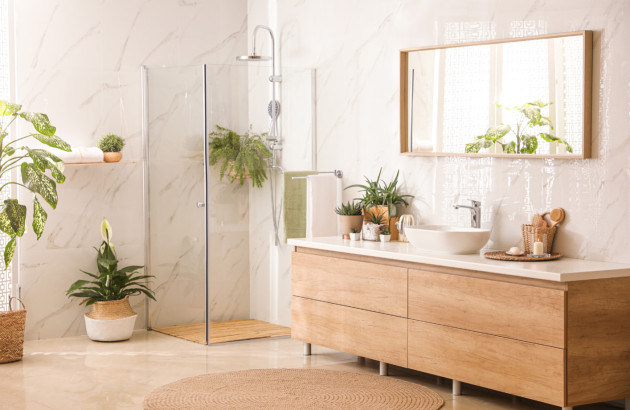 Salle de bains moderne avec mobilier en bois et plantes