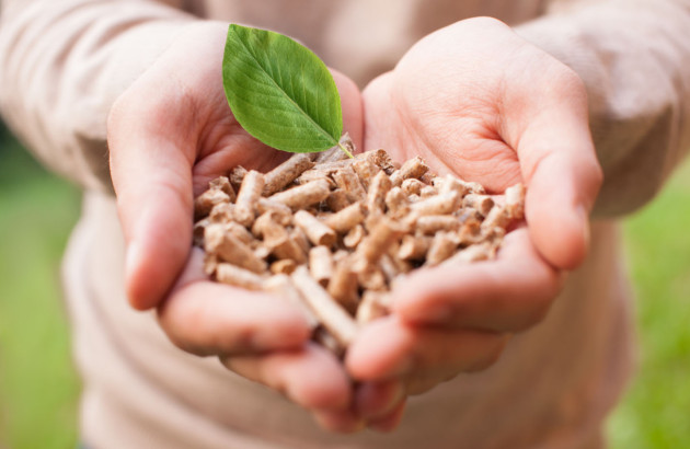 mains qui tiennent des pellets de bois