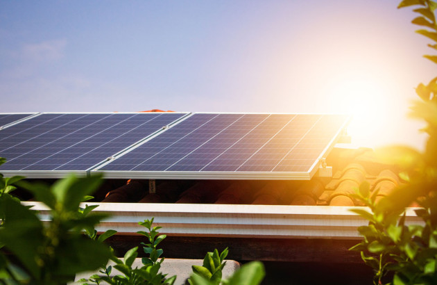 Panneaux solaires sur un toit de maison végétalisée