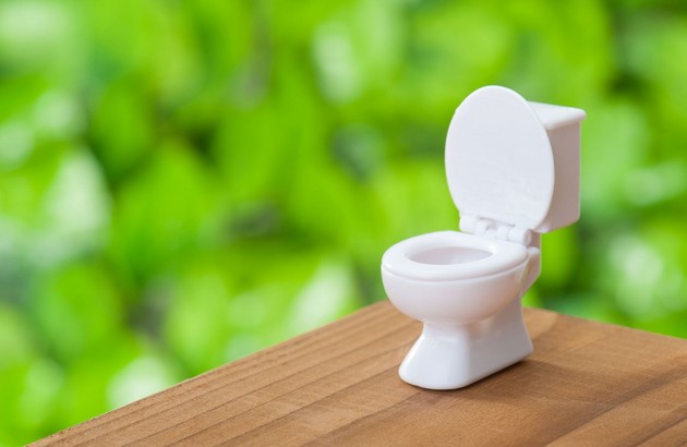 Abattant de toilette en bois compressé MDF cuvette WC standard