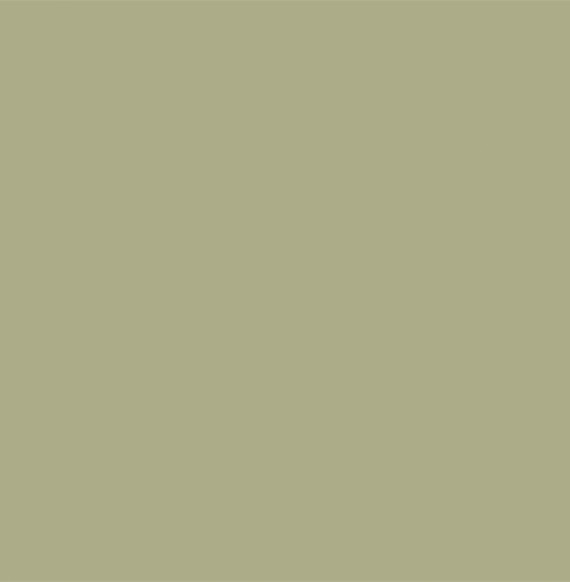 Coloris Vert olive