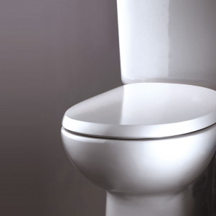 Abattant WC - thermoplastique - résistant - pour collectivité - AC700  DUBOURGEL